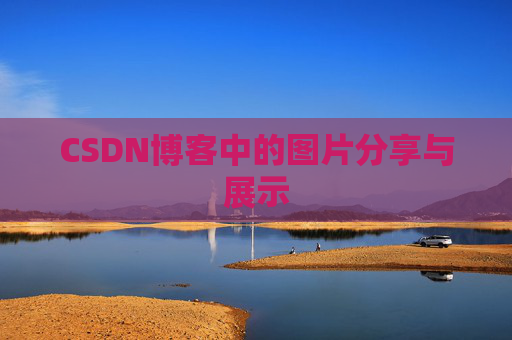 CSDN博客中的图片分享与展示